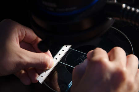 science biotechnology experiment,  scientist dissect pollen under microscopeの写真素材