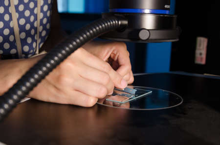 science biotechnology experiment,  scientist dissect pollen under microscopeの写真素材