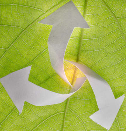 nature recycle abstract concept green leaf backgroundの写真素材