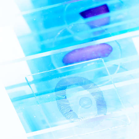 science medical glass microscope slide with sampleの写真素材