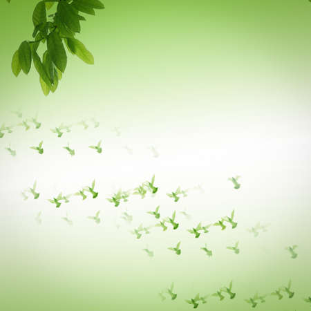 leaf and dove green backgroundの写真素材