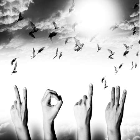 hand with new year 2013 abstract with doves flying on blue sky and cloud backgroundの写真素材
