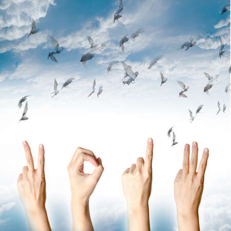 hand with new year 2013 abstract with doves flying on blue sky and cloud backgroundの写真素材