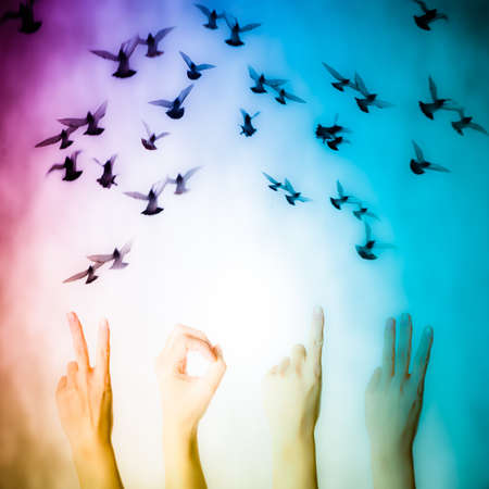 hand with 2013 number and flying doves new year backgroundの写真素材