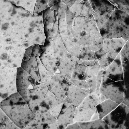 broken bird egg shell textureの写真素材
