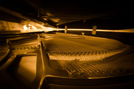 Piano strings and hammer detailの写真素材