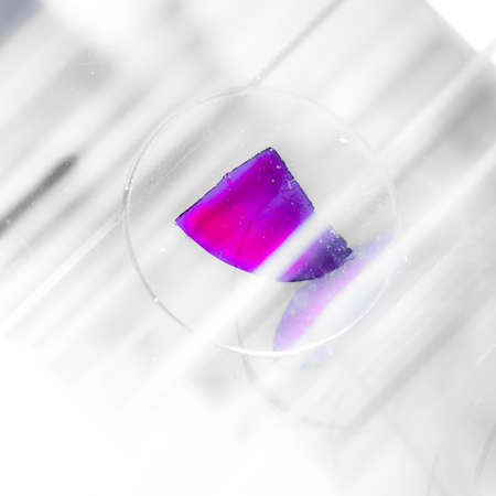 science medical glass microscope slide with sampleの写真素材