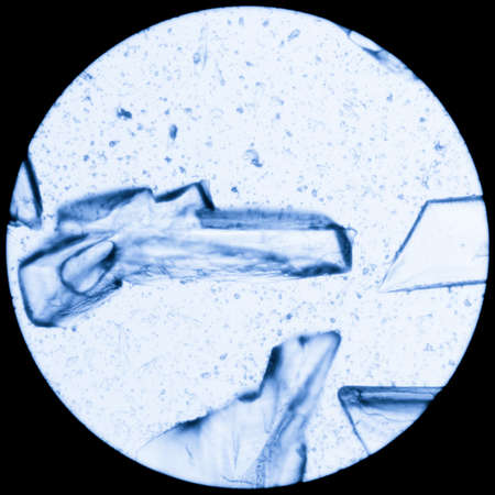chemistry material crystal background, micrograph.の写真素材