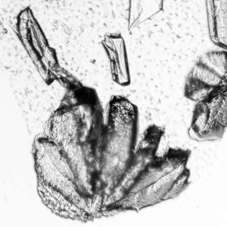 chemistry material crystal background, micrograph.の写真素材