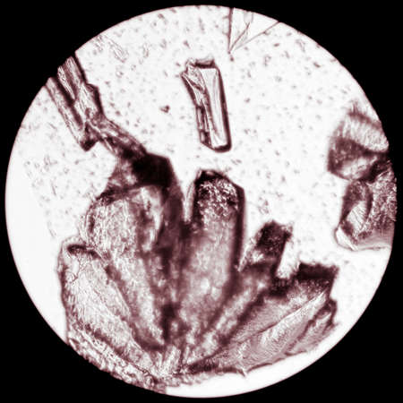 chemistry material crystal background, micrograph.の写真素材