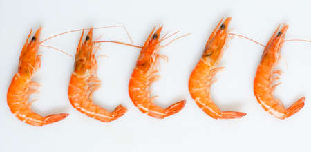 seafood boiled shrimp in rawの写真素材
