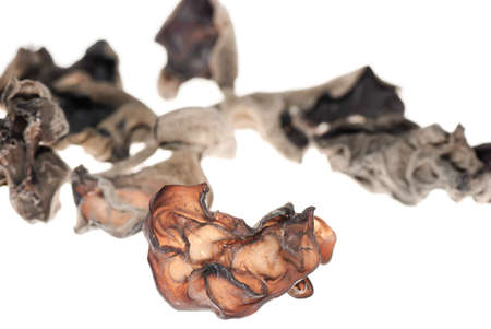 black fungus isolated on whiteの写真素材