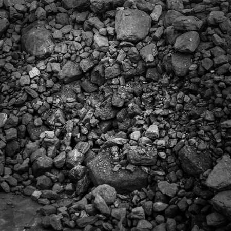 black coalの写真素材