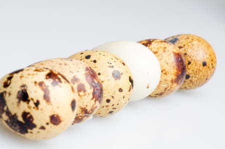 albefaction quail egg isolated on white.の写真素材