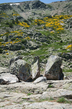 A large rock sits in the middle of a rocky hillside. The hillside is covered in grass and has a few yellow flowers scattered throughoutの写真素材