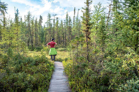 Parc National Des Grands Jardins, Quebec, Canada - August 10, 2018: A single man visitor is looking at the bog from a wooden path in Les Grands-Jardins National Park, province of Quebec, Canadaのeditorial素材