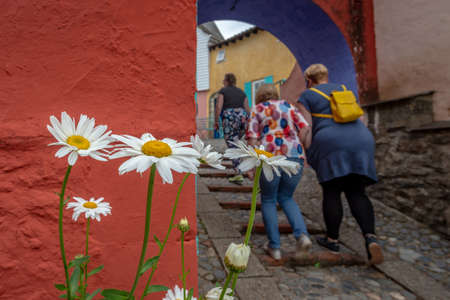 Portmeirion, North Wales, United Kingdom - July 21, 2018: A group of 3 women seen from behind walking through an arch, with white and yellow daisies in the foreground, Portmeirion, North Walesのeditorial素材