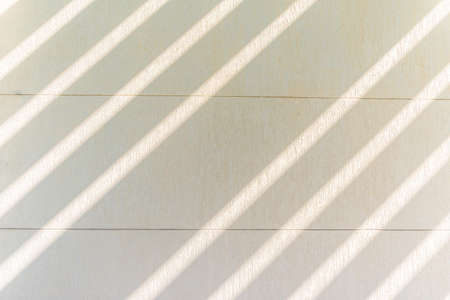 Textured white wall and rays of sunlight, Umm Al Emarat Park, Abu Dhabi, United Arab Emiratesの写真素材