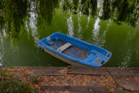 Dirty, small plastic blue boat, covered with death leaves, standing on green river water underneath a willow tree, Nogent-sur-Marne, Franceの写真素材