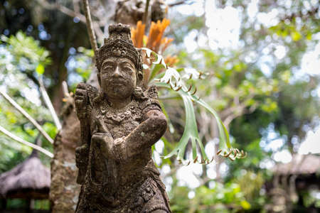 Statue of a warrior and blurred vegetation background,  taken on an overcast afternoon, Ubud, Bali,...