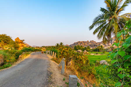 Small road, dogs and rice fields near the ancient city of Hampi, taken at sunrise with no people,...