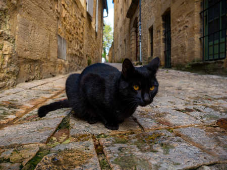 A black street cat with orange eyes in a narrow street of a medieval french town of Sarlat-la-Caneda...