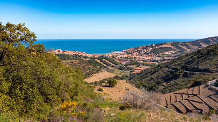 Panoramic view of Banyuls, France, taken from a vineyard in winter on a sunny afternoon.の写真素材