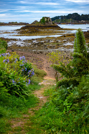 A trail facing a small rocky island off Brehat Island. Taken from the shore on an overcast summer morning, Brittany, France.の写真素材