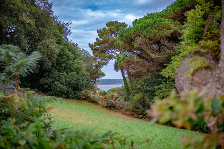 Sea inlet seen from a field surrounded by lush vegetation on Brehat Island, taken on an overcast summer morning, Brittany, France.の写真素材