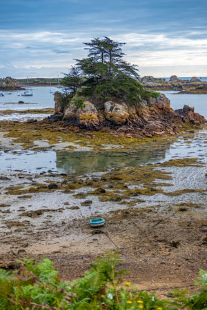 A small island with a large tree off Brehat Island with a small blue boat in the foreground. Taken on an overcast summer morning, Brittany, France.の写真素材