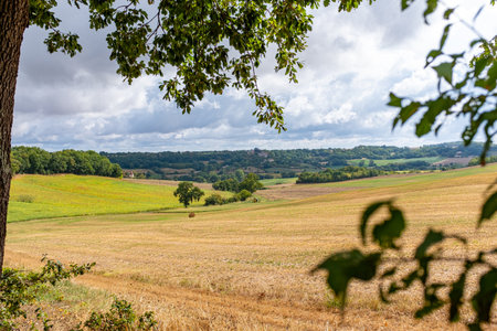 Vegetation framed view on the beautiful landscape of South West France near La Romieu, taken on a partly overcast day with no peopleの写真素材