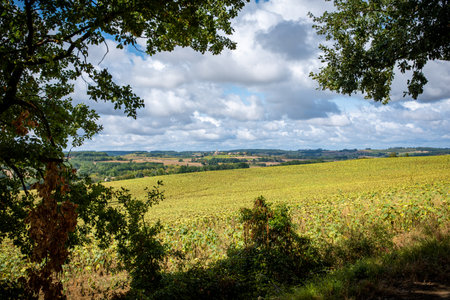 Vegetation framed view on the beautiful landscape of South West France near La Romieu, taken on a...