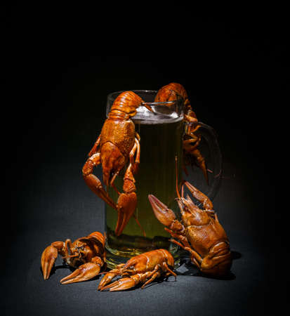 boiled crayfish, beer mug, on a dark background, beautiful, appetizingの写真素材