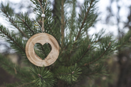 Wooden heart shape on fir in the forestの写真素材
