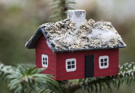 House miniature on fir tree. Small red house on tree branch.の写真素材