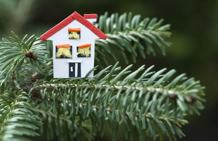 House miniature on fir tree. Paper houseの写真素材