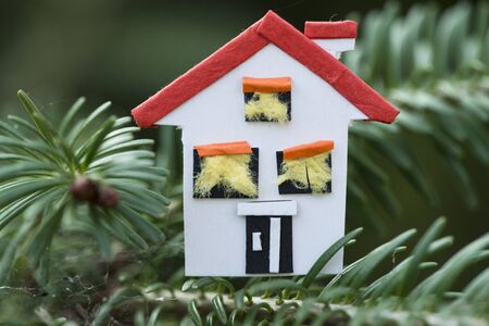 House miniature on fir tree. Paper houseの写真素材