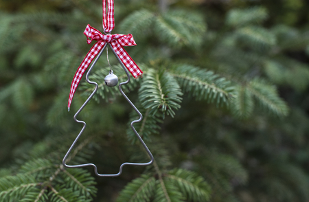Christmas tree shape on real pine tree. Christmas tree miniature shape on branch. の写真素材