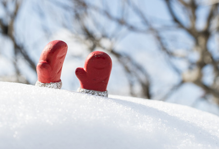 Christmas boots and gloves on the snowの写真素材