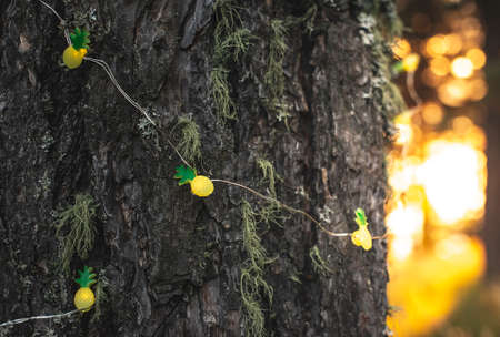 Small lamps on tree. Pineapple shapes