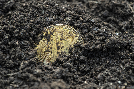 Bitcoin coin in the soil. Mining cryptocurrencies concept. Yellow buried coin.の写真素材