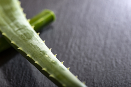 Aloe vera slices on dark background. Health and beauty concept. Closeup aloe pieces on backlight.の写真素材