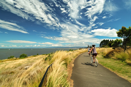 Summer Cycling: Cyclists riding along a scenic coastal road, with blue skies and ocean views out to the horizon, joy of summer biking.の素材