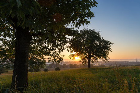 Sunrise over a tranquil landscape with distant buildings, green grassy fields and trees as the fiery orb of the sun rises above the horizon in an orange glowの写真素材
