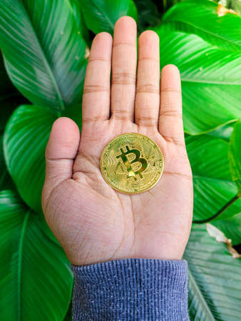Golden Bitcoin token coin palm of a male hand with green nature background.