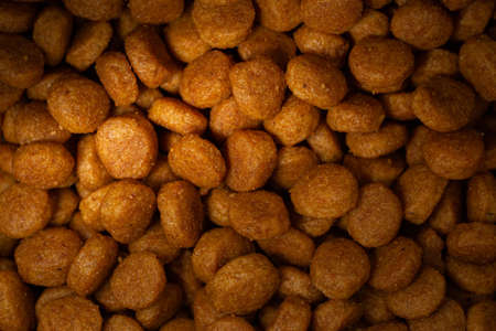 Cat food textures for backgrounds and wallpaper. Texture background. Abstract background. Macro photography. Close upの写真素材