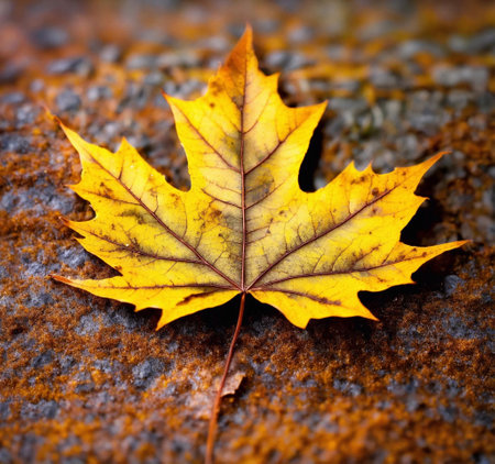 Autumn Maple Leaf Vein. Autumn Season. Generative Ai. Aiの素材
