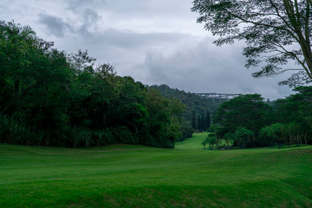 Golf course with green grass, trees and bridge in the backgroundの写真素材