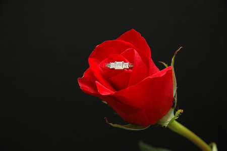 Red Rose and Diamond Ringの写真素材