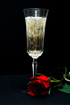 Champagne and Red Roseの写真素材